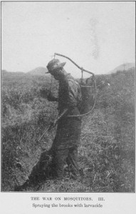 The war on mosquitoes III. (1913)  From the digital collections of the New York Public Library