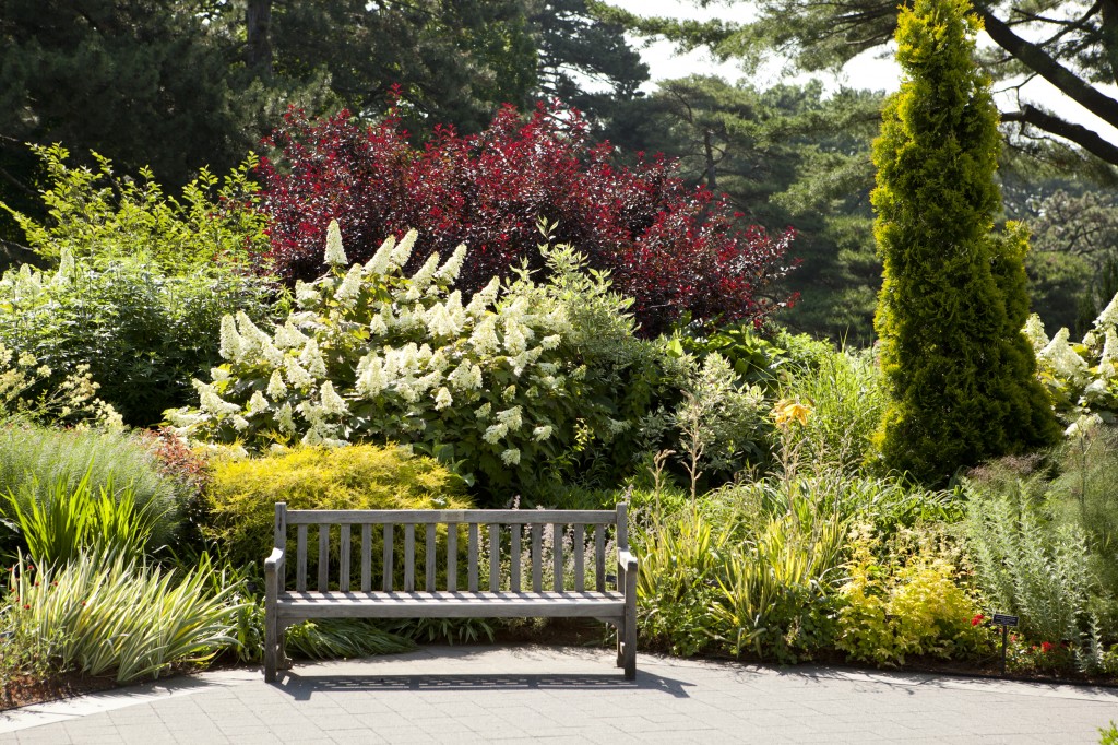 Perennial Garden