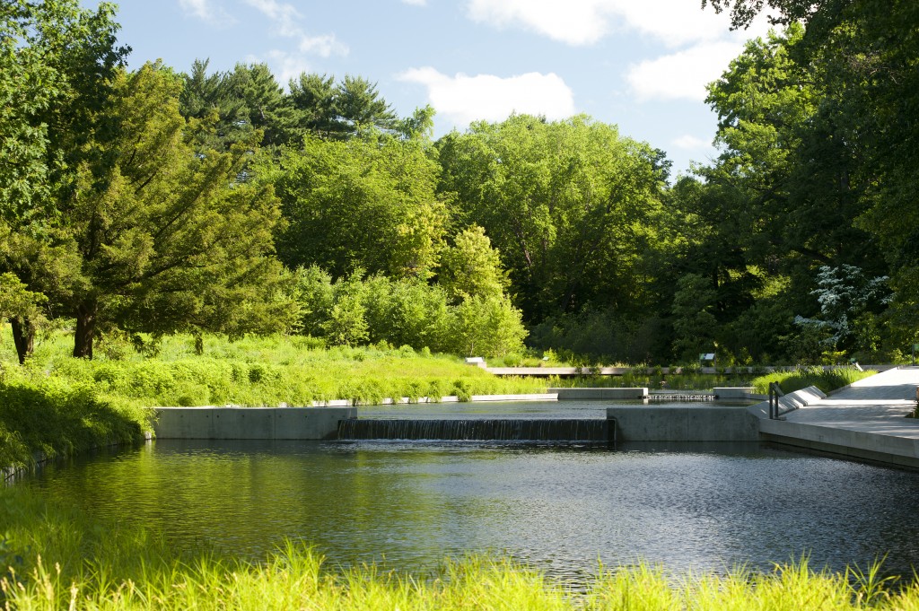 Native Plant Garden