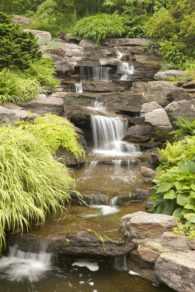 The Rock Garden