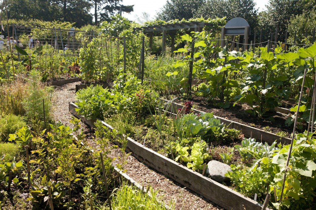 Ruth Rea Howell Family Garden