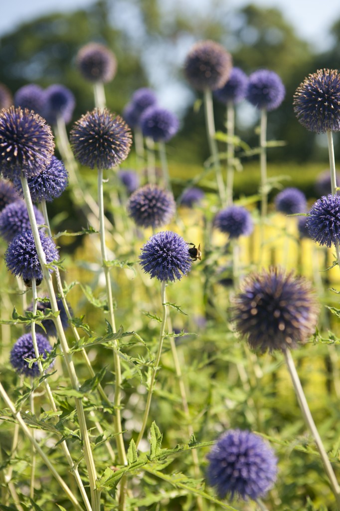 Ruth Rea Howell Family Garden