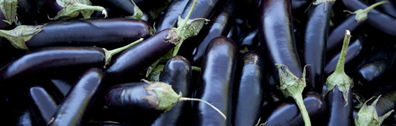 Greenmarket