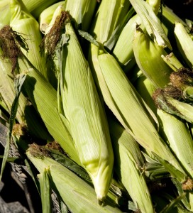 The NYBG Greenmarket