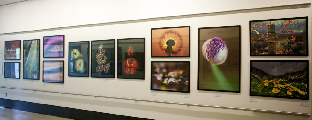 International Garden Photographer of the Year