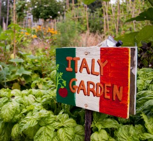 The Edible Garden