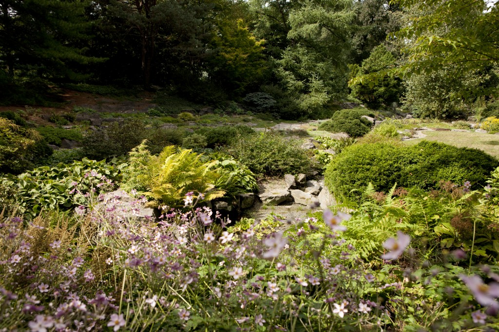 Rock Garden