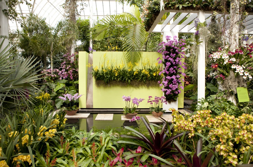 The Orchid Show: Key West Contemporary