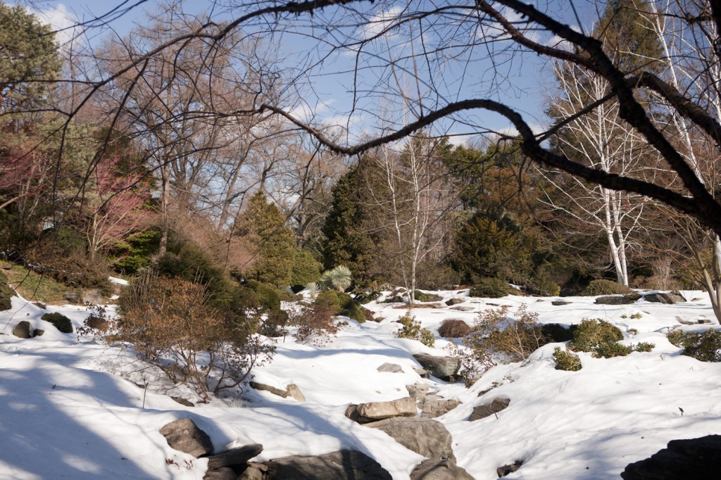 Rock Garden