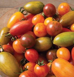 Artisan Tomatoes