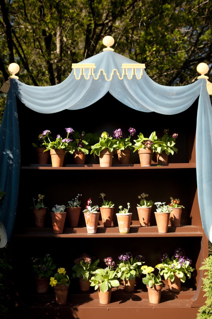 Auricula theater