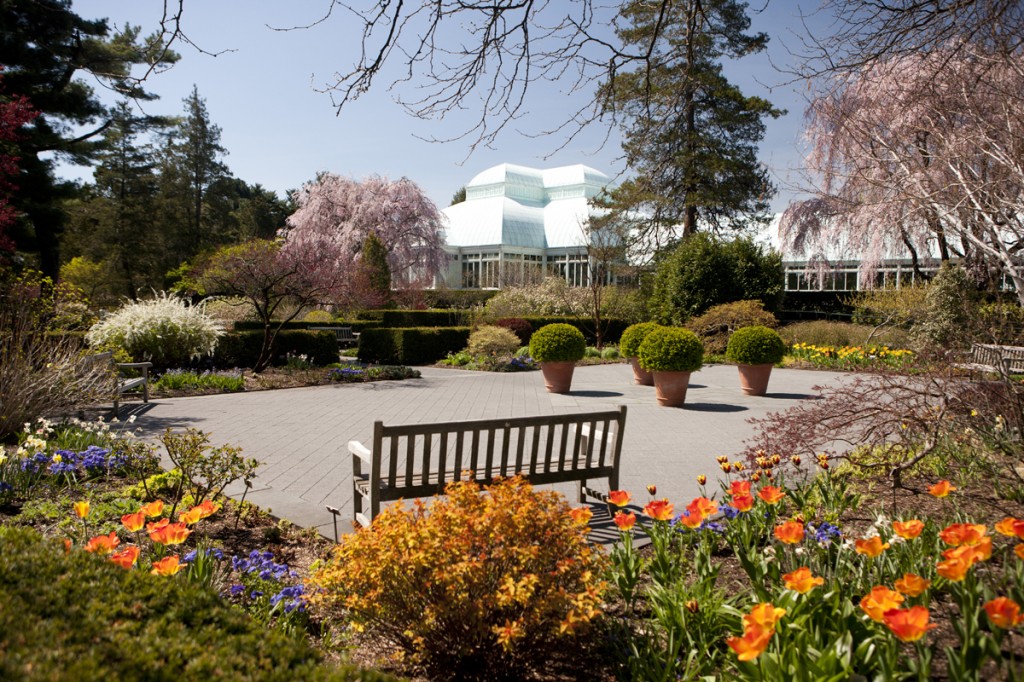 Perennial Garden