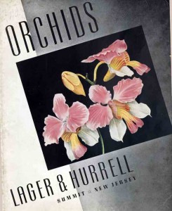 Lager and Hurrell front cover
