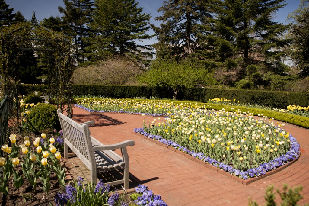 Home Gardening Center