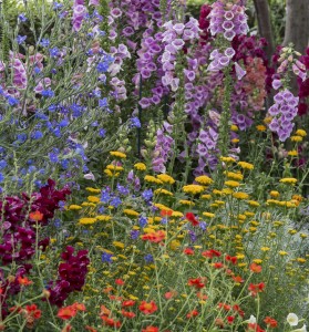 Groundbreakers in the Conservatory