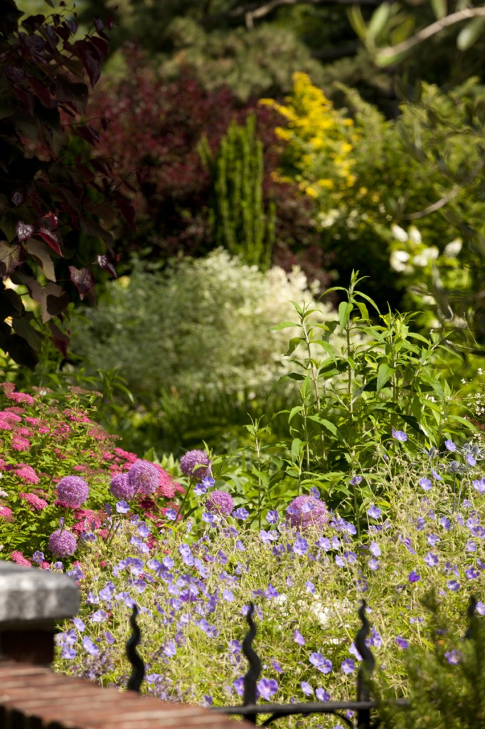 Perennial Garden