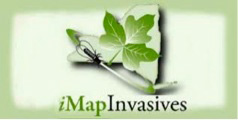 iMap Invasives New York State