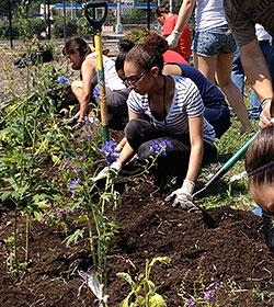 Bronx Green Up Community Workday