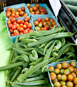 NYBG Greenmarket okra tomatoes