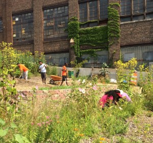 New Roots Community Garden