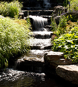 Rock Garden Cascade NYBG