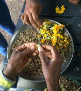 Seed saving at the Farm School NYC workshop with Bronx Green-Up.
