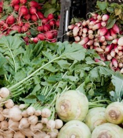 NYBG Greenmarket