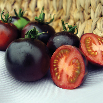 Indigo™ Blue Berries Tomato Seed