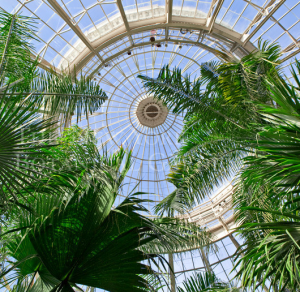 Palm Dome