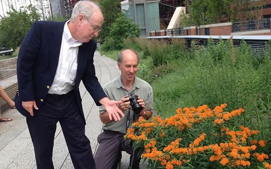 Doug Tallamy & Rick Darke at the High Line (Photo: Timber Press)