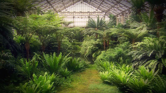 Garfield Park Conservatory Jens Jensen