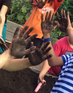 Hands-on activities dominate time spent in the garden and connect to classroom curriculum.
