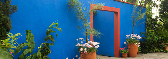 Casa Azul NYBG Frida Kahlo New York Botanical Garden