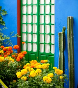 Frida Kahlo Art Garden Life New York Botanical Garden Haupt Conservatory Casa Azul