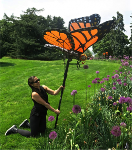 The Monarch taking some nectar. (Photo Credit: Patricio Huerta)
