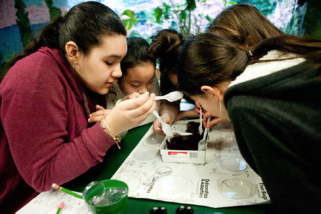 Citizen Science at NYBG