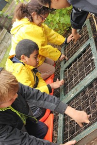 Planting in the Family Garden