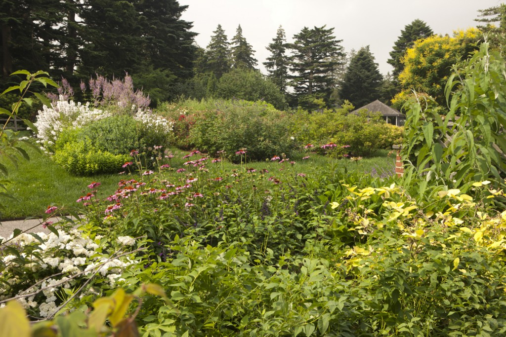 Home Gardening Center