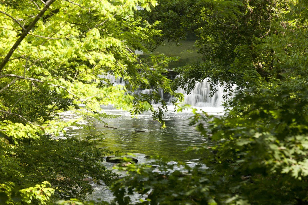 Bronx River