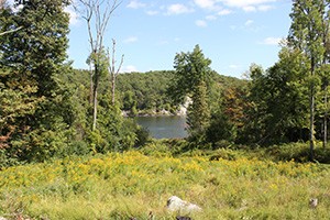 Black Rock Forest Consortium is home to many native plant colonies.