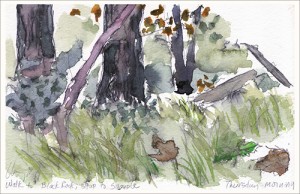 Landscape architect Nancy Aten captured the landscape in Black Rock Forest in her watercolor art.