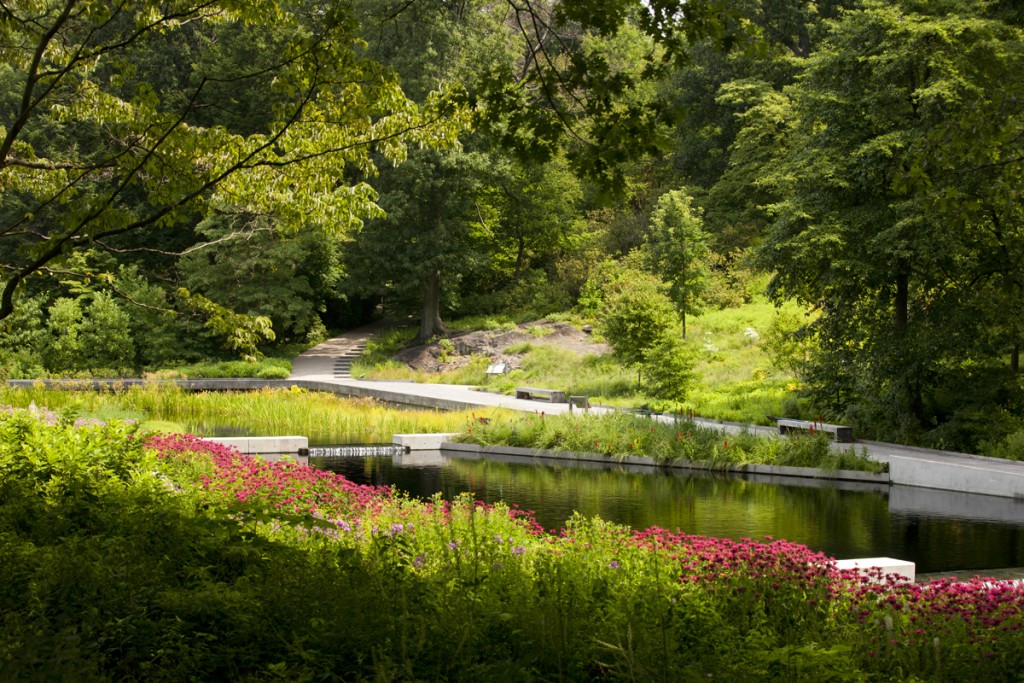 Native Plant Garden