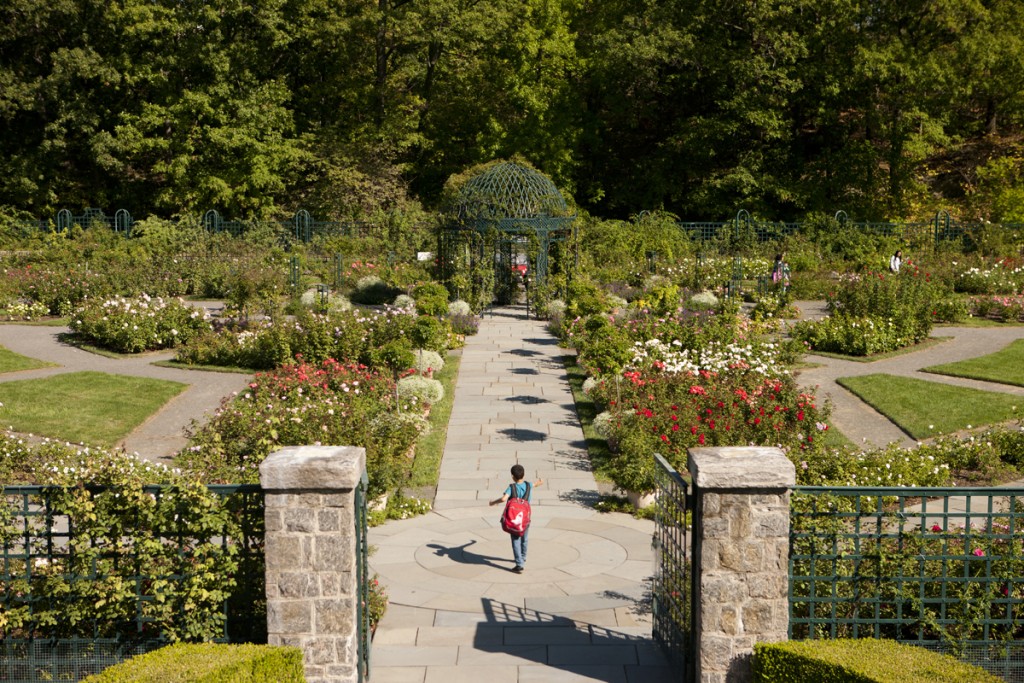 Rockefeller Rose Garden