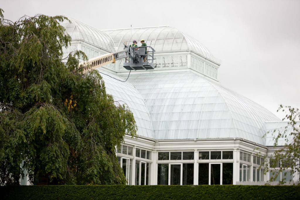 Enid A. Haupt Conservatory