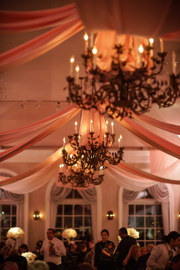 Rose Garden Dinner Archives Plant Talk