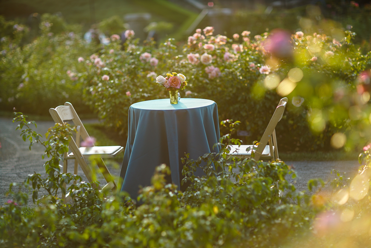 Rose Garden Dinner Archives Plant Talk