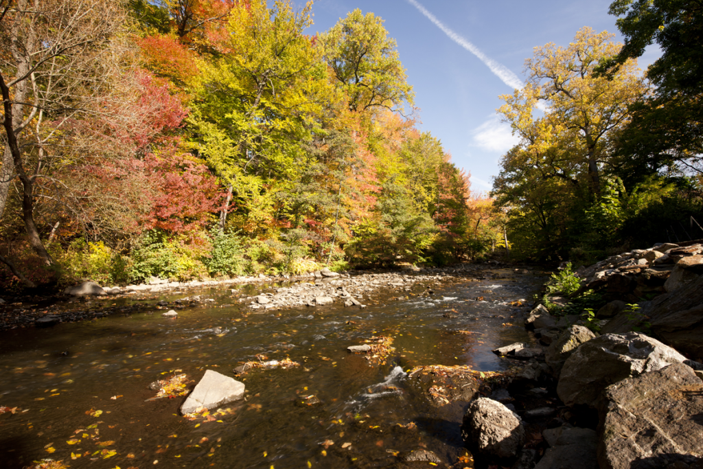 Bronx River