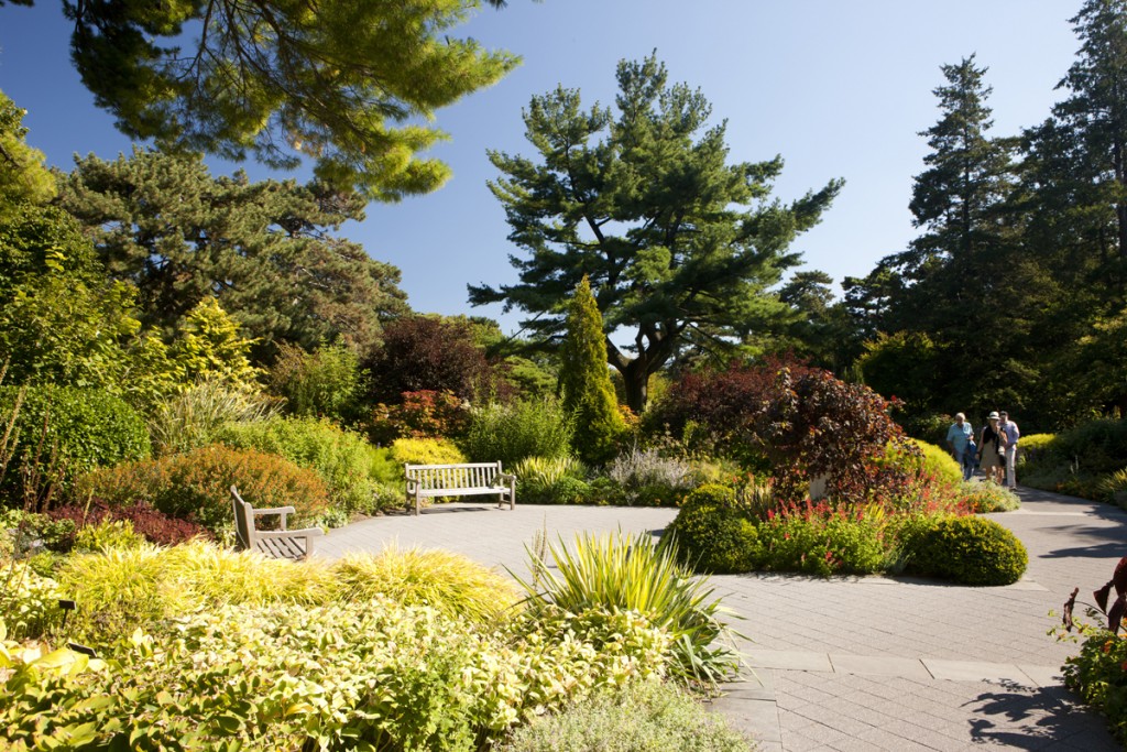 Perennial Garden