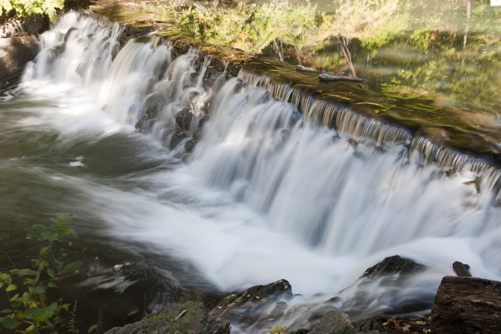 Waterfall in the Thain Family Forest