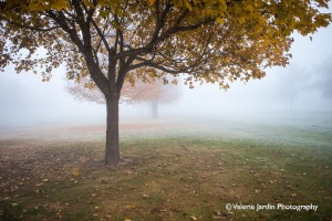 Valerie-Jardin-photography